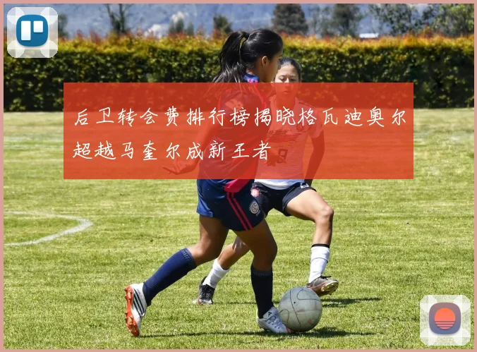 后卫转会费排行榜揭晓格瓦迪奥尔超越马奎尔成新王者